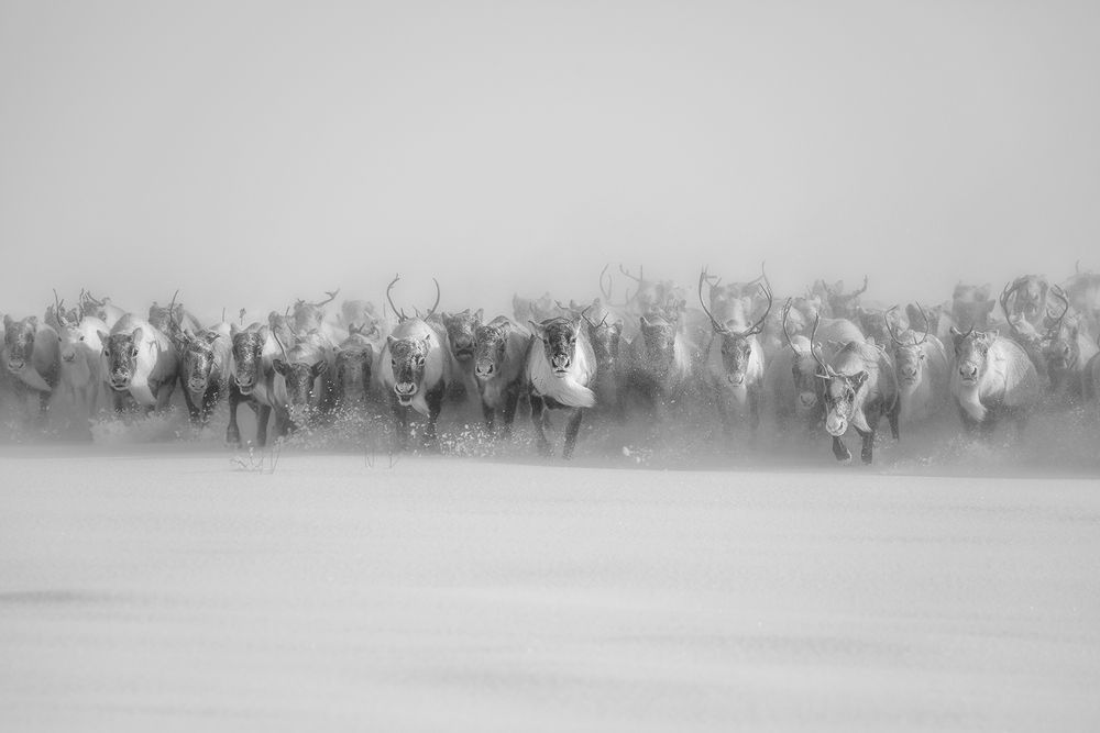 Photograph by Александр Чазов