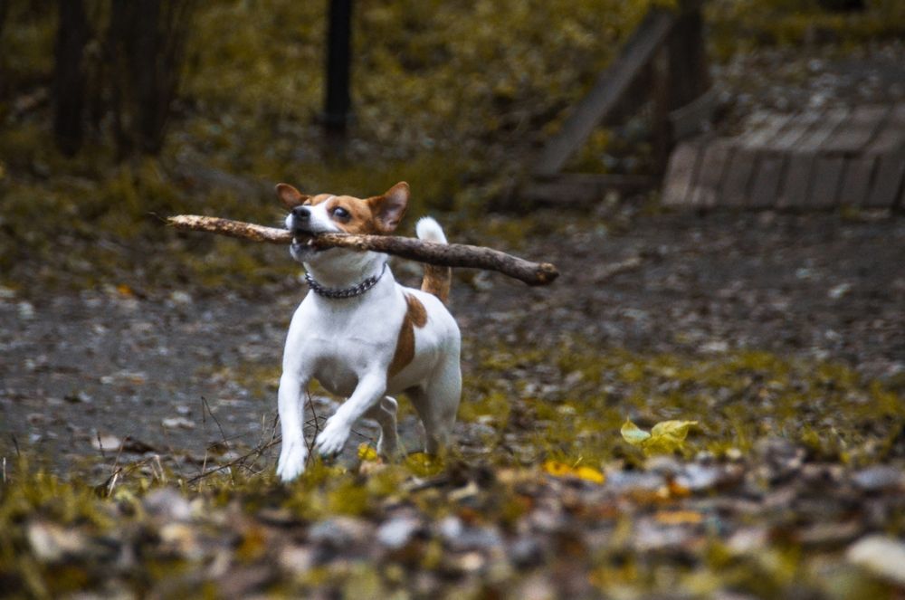 Только вперед !