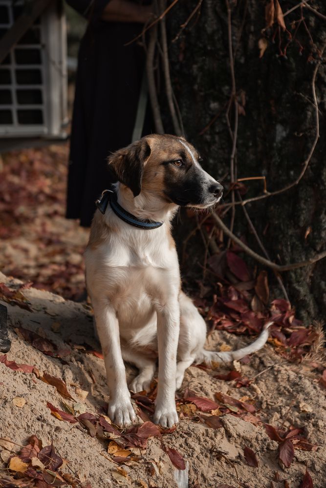 Photograph by Алла Киржинова