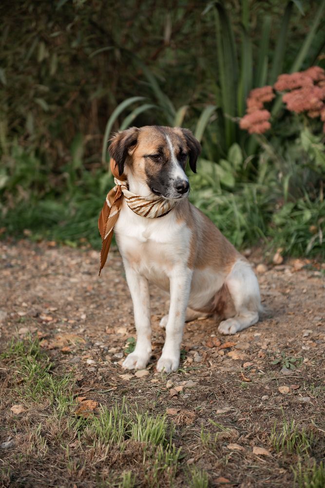 Photograph by Алла Киржинова