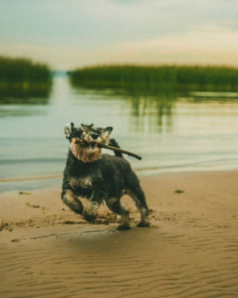 Photograph by Александра Степанова