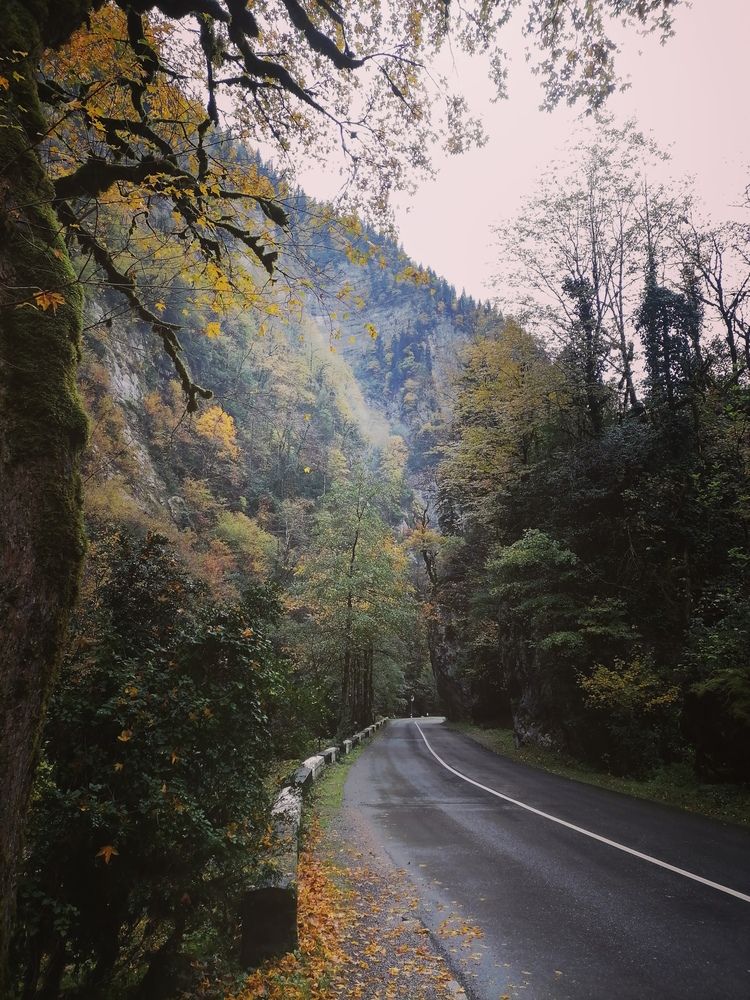Photo #12809789