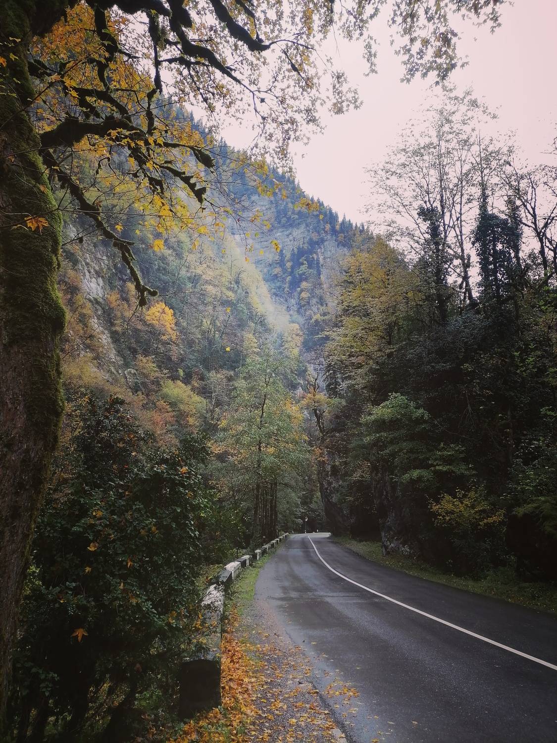 Photo #12809789