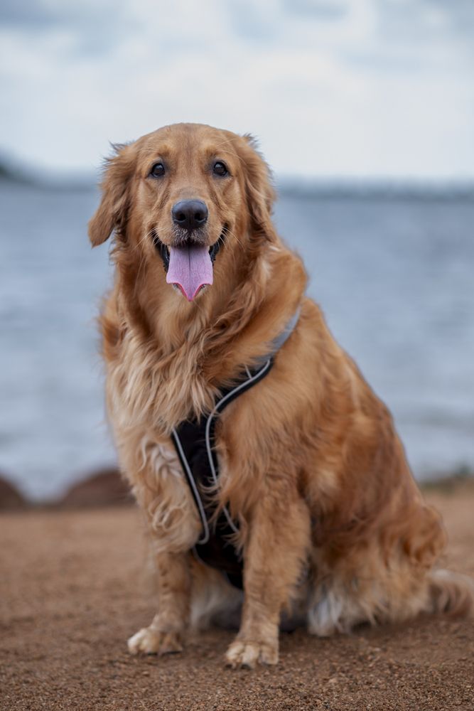 Photograph by Harsha Devalla