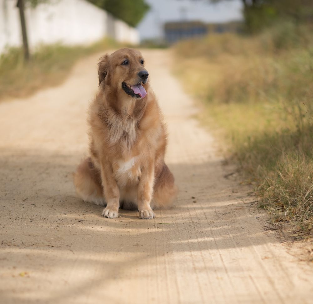 Photograph by Harsha Devalla