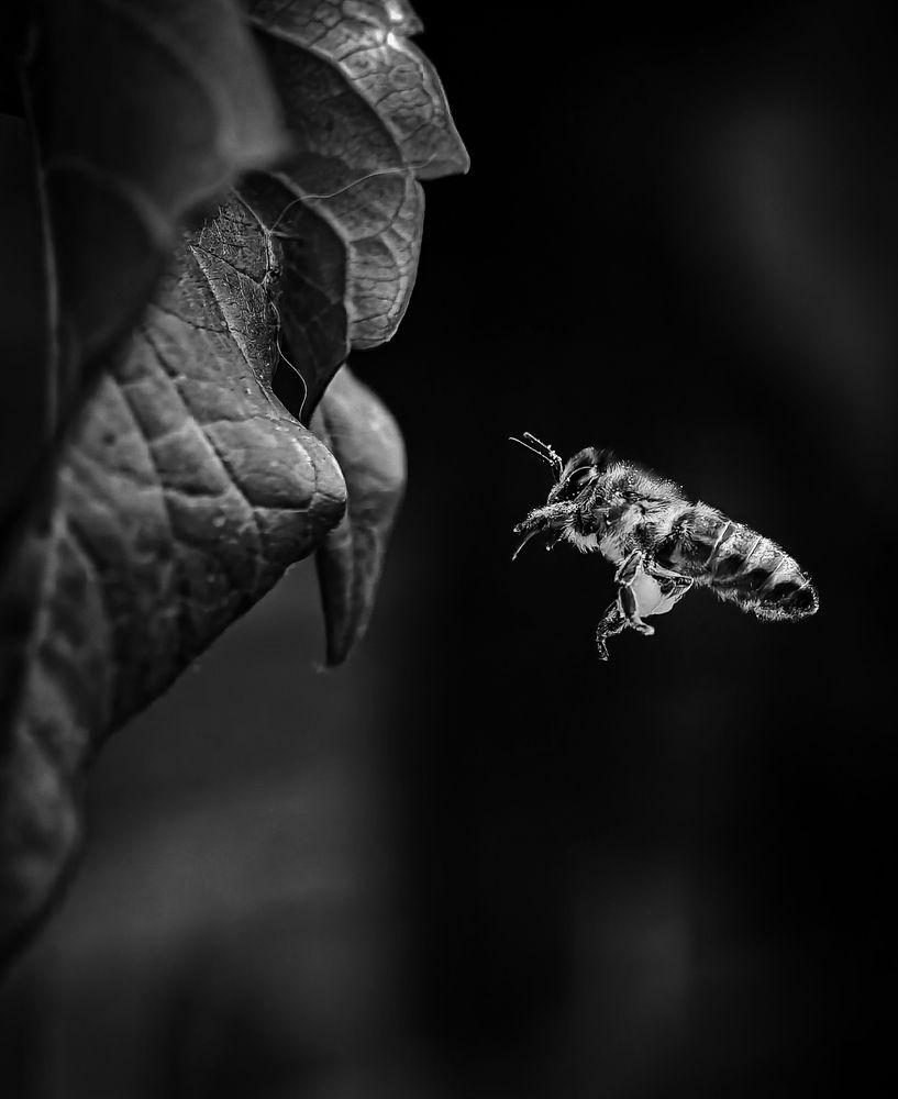 Фотография автора Евгений Былков