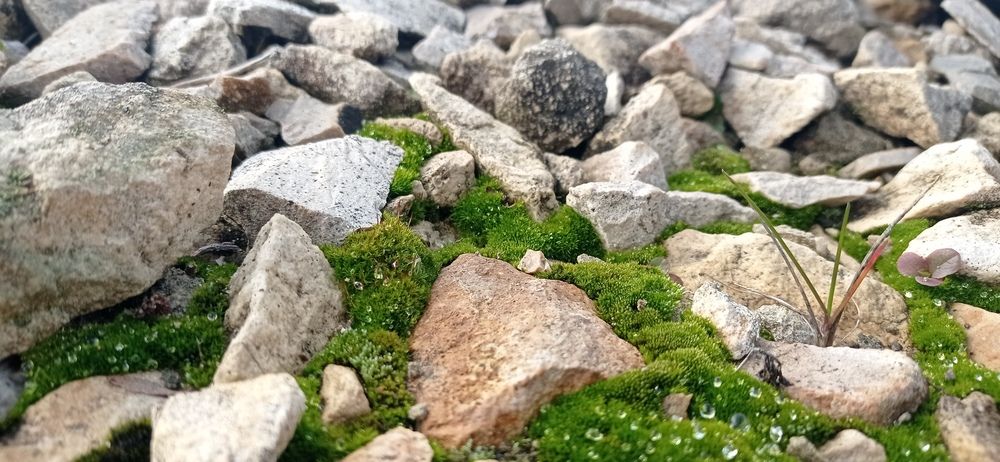 Photograph by Радомир Ляшенко