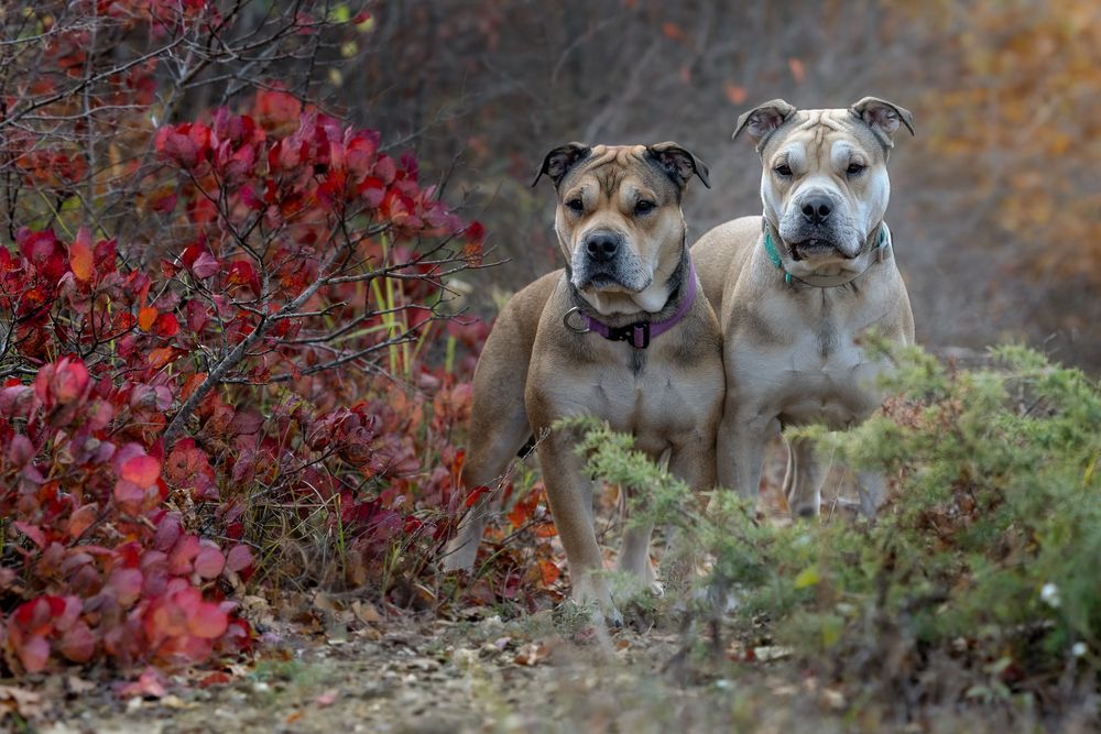 Photograph by Яна Карамышева