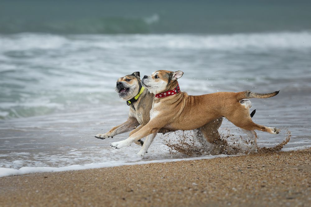 Photograph by Яна Карамышева