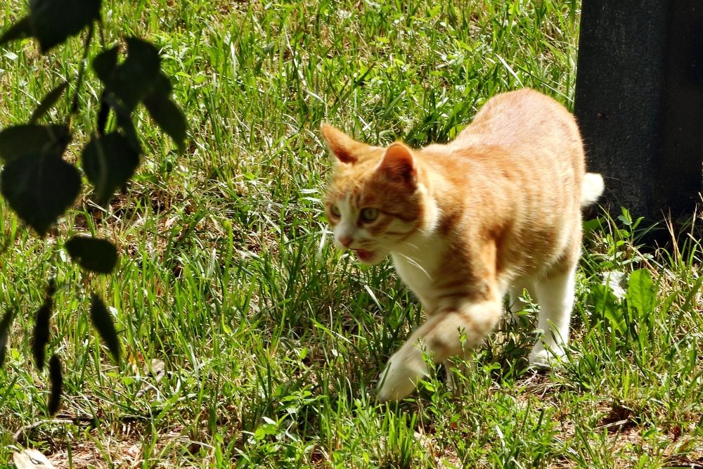 Photograph by DMITRIY DULIN