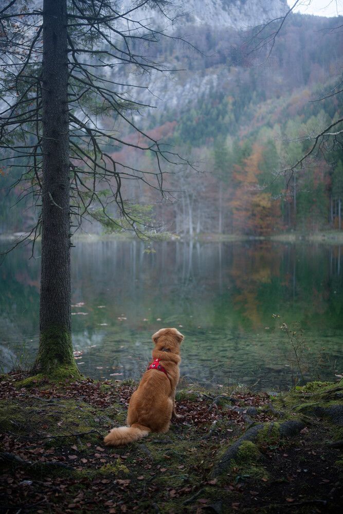 Photograph by Maja Esch