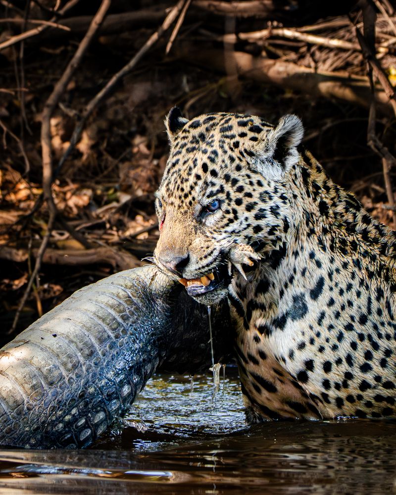 Photograph by Felipe Vasquinho