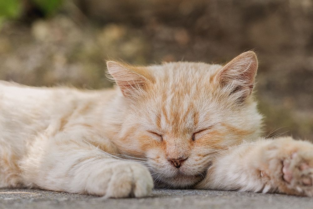 Photograph by Oxana Berezovskaya