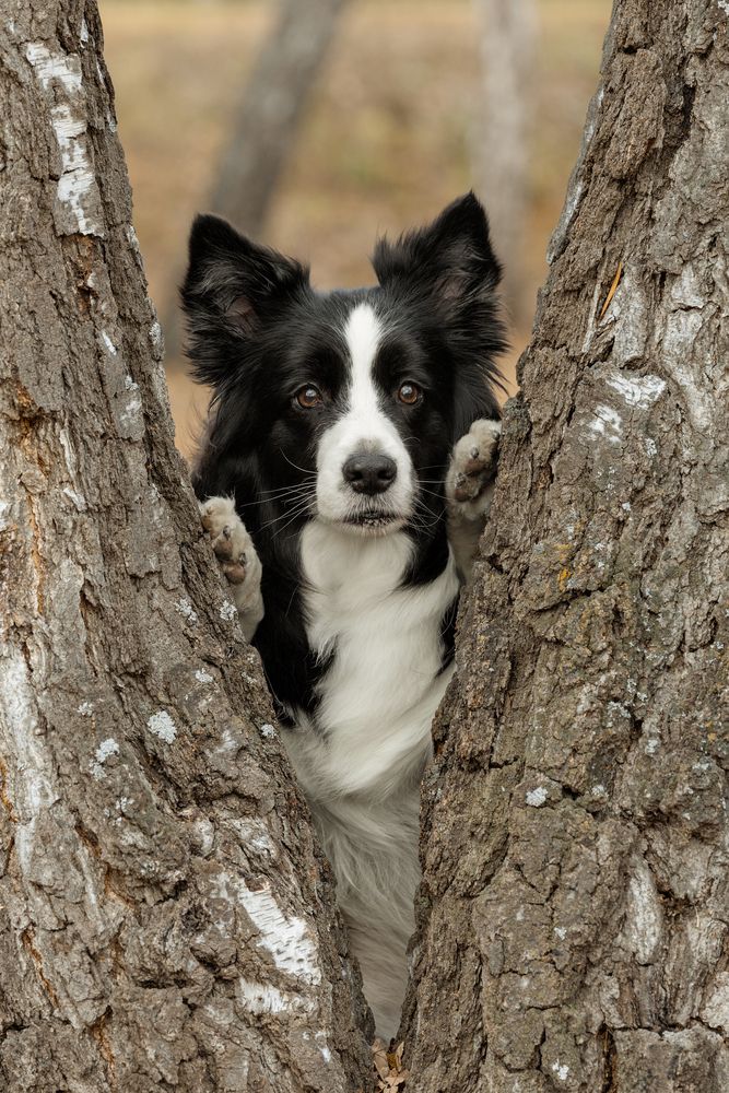 Photograph by Алина Дудорова