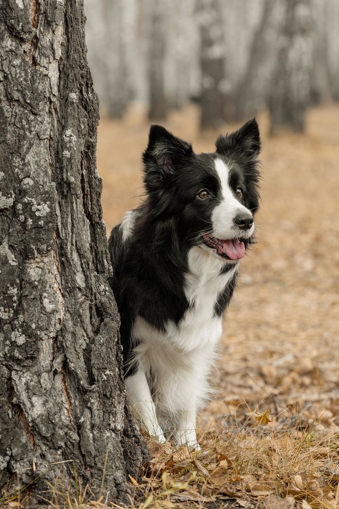 Photograph by Алина Дудорова