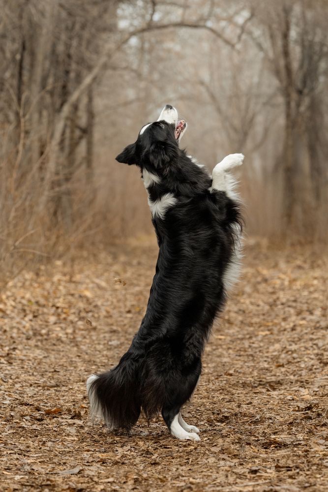 Photograph by Алина Дудорова