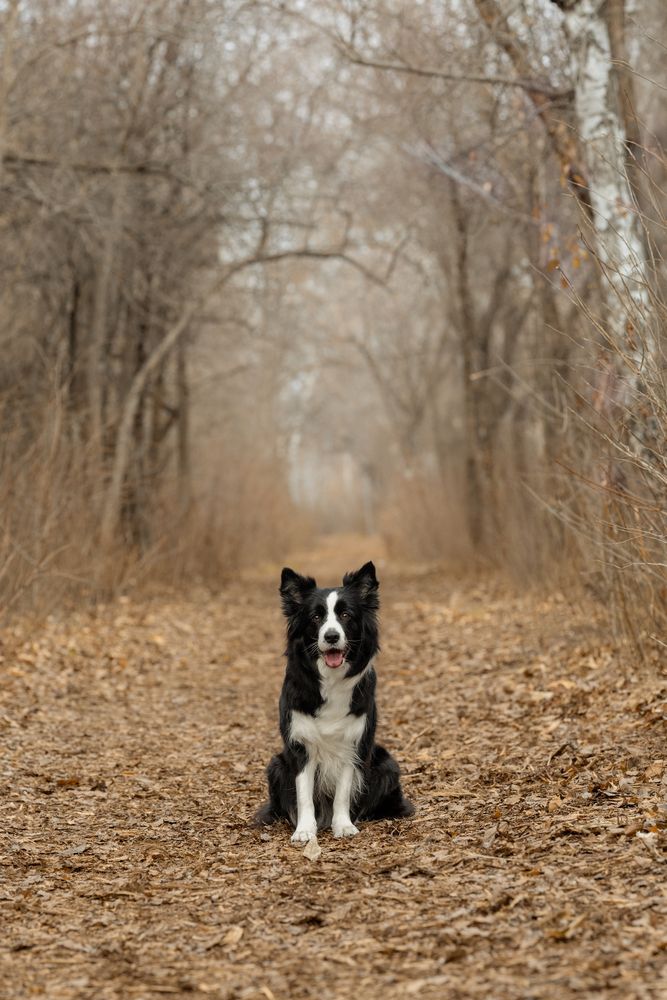 Photograph by Алина Дудорова