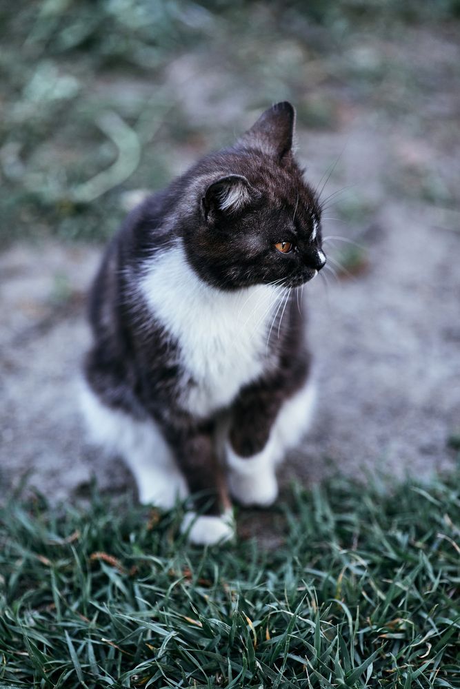 Photograph by Мороз Олег