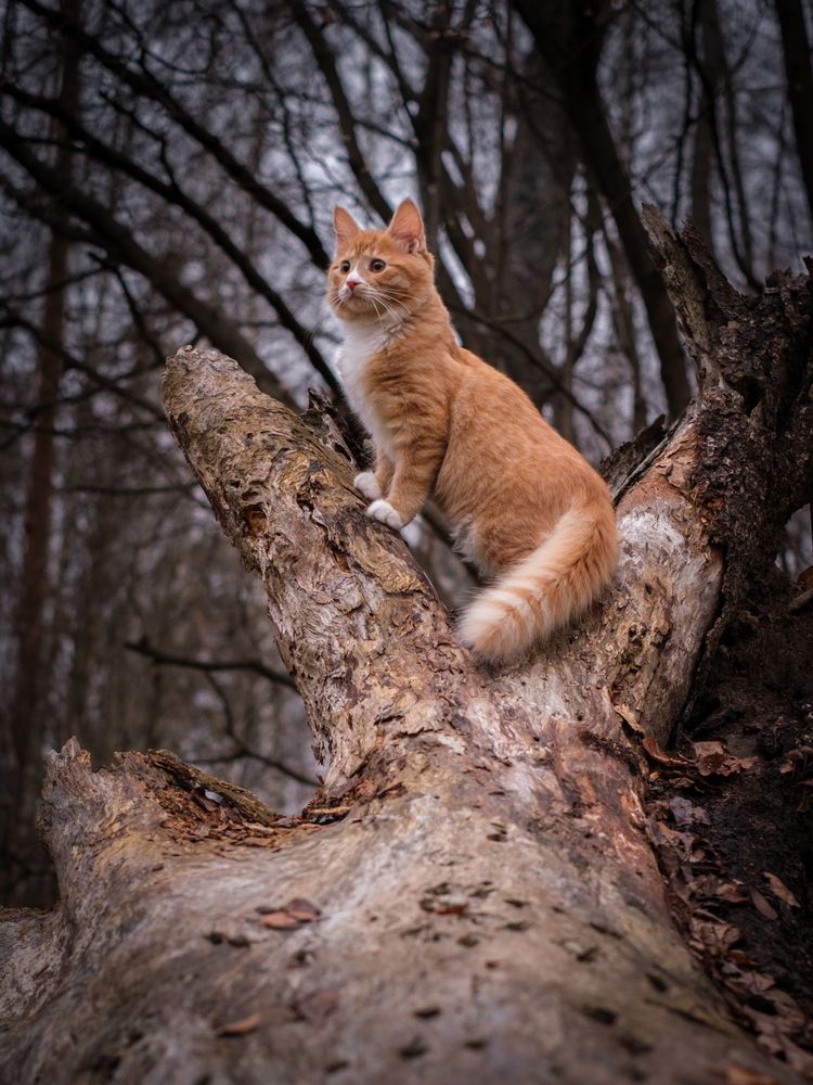 Photograph by Dina Damotseva