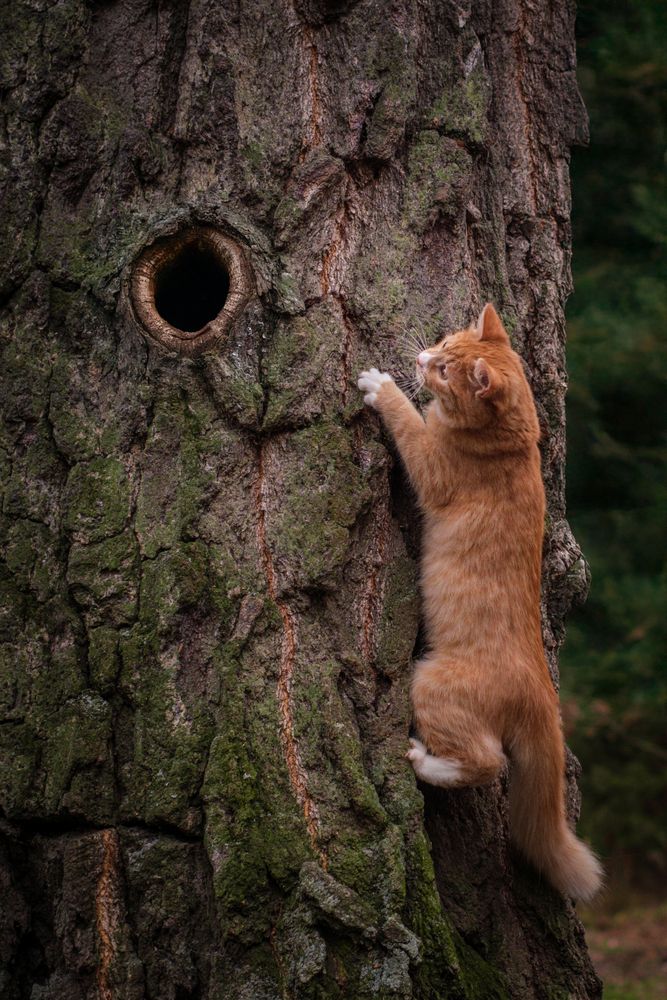 Photograph by Dina Damotseva