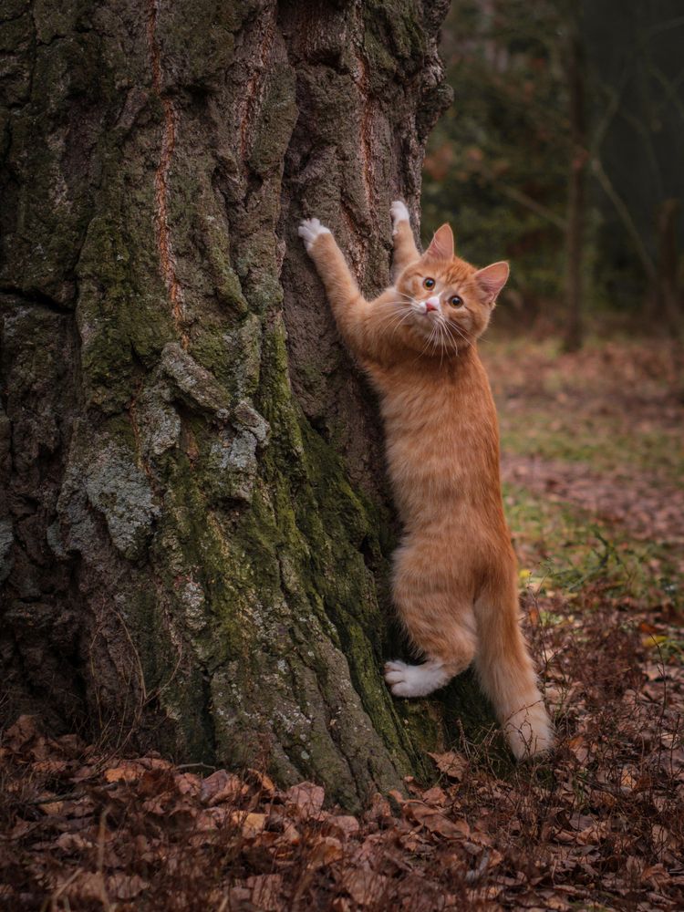 Photograph by Dina Damotseva