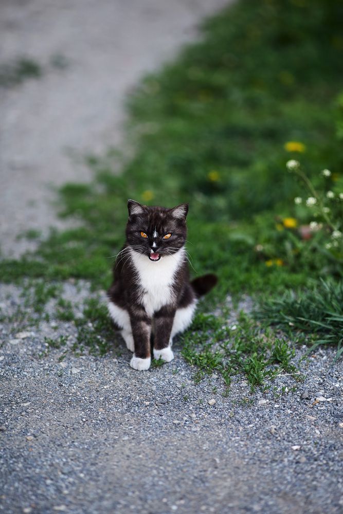 Photograph by Мороз Олег