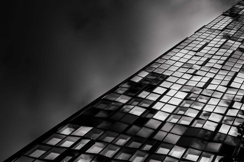 Фотография автора Talal Abodeshish