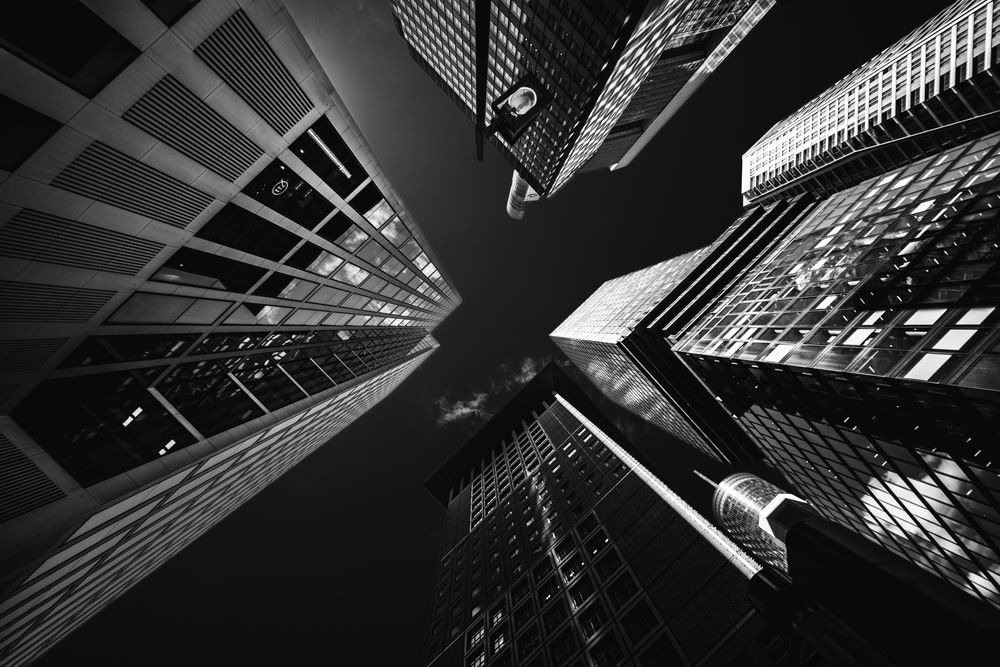 Фотография автора Talal Abodeshish