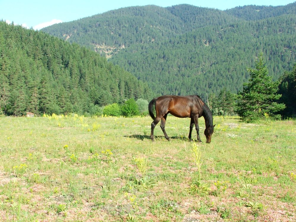 Photograph by Cengiz Yalcin