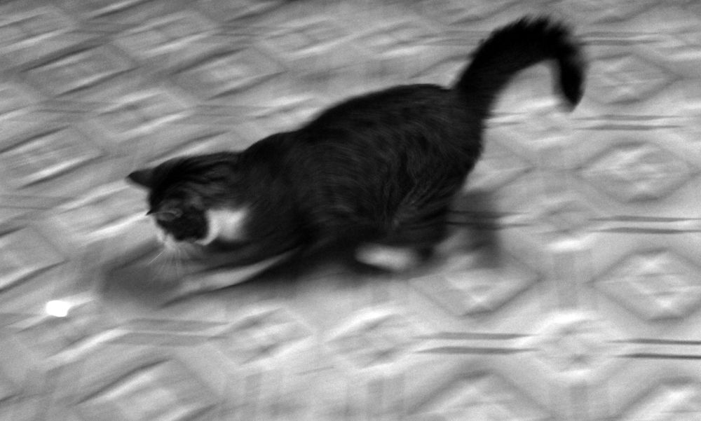 Photograph by Кирилл Елесин