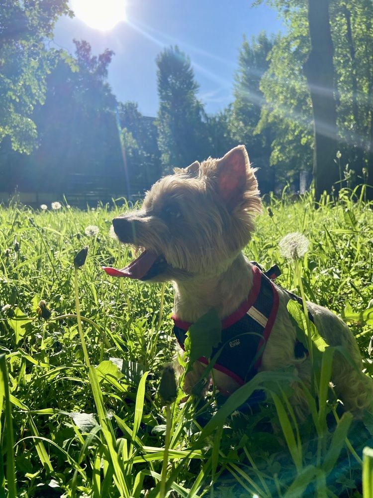 Photograph by Ирина Швейнова