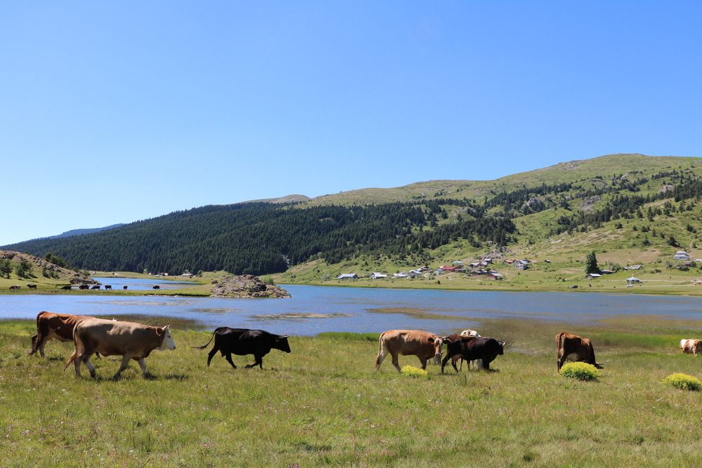 Photograph by Cengiz Yalcin