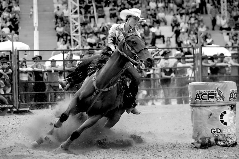 Photograph by Ricardo Q T Rodrigues