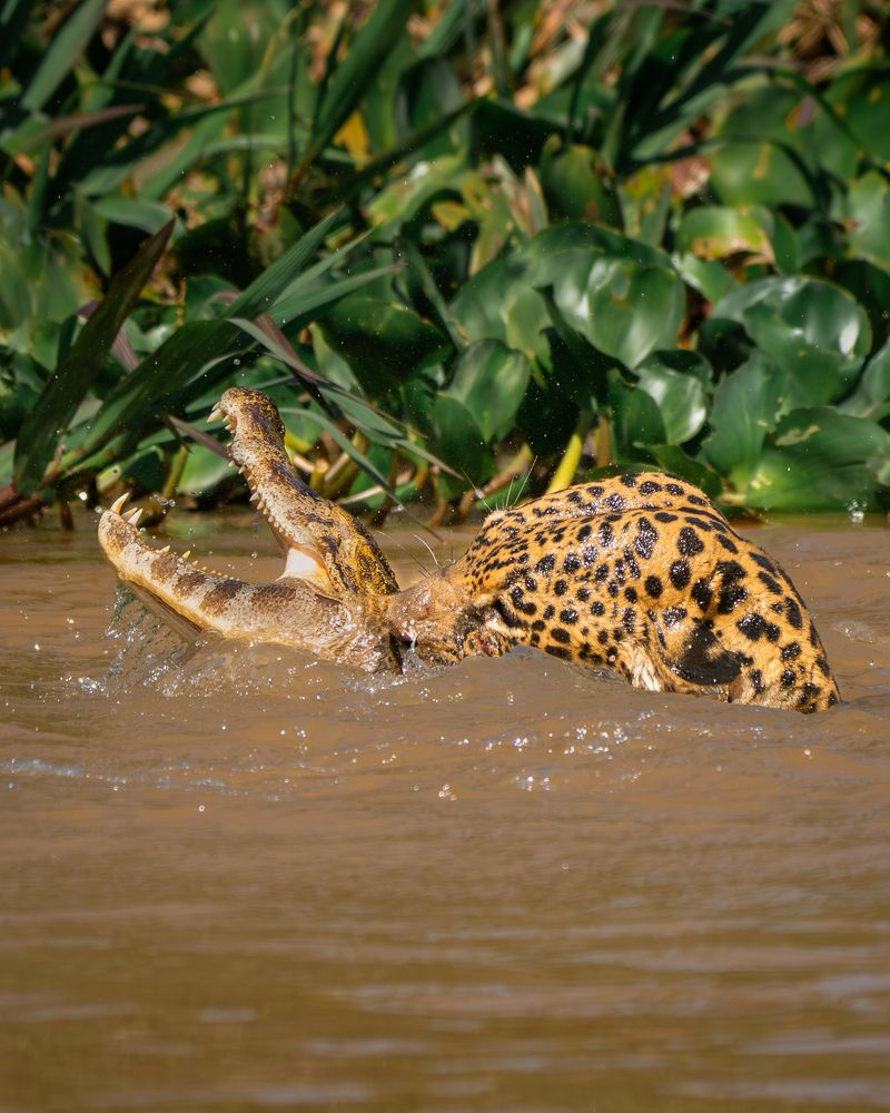 Photograph by Felipe Vasquinho