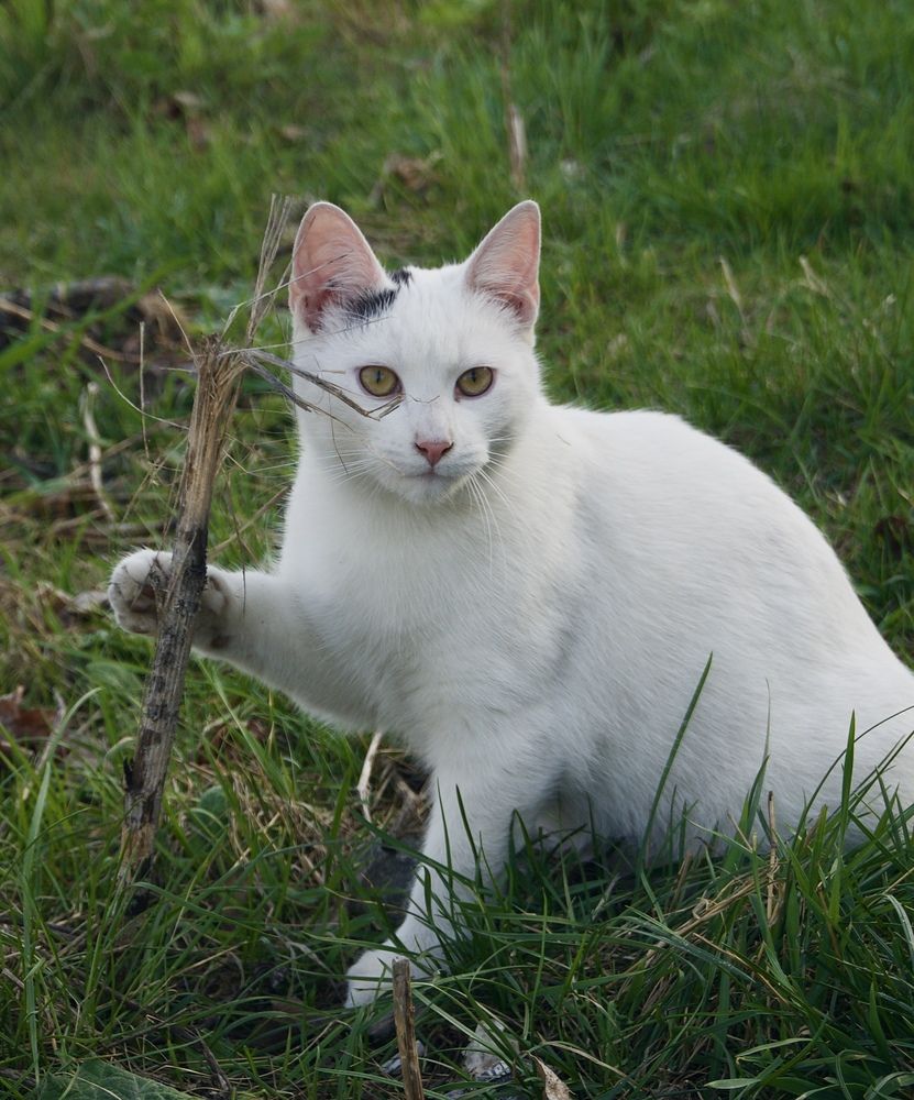 Фотография автора Militha Wut