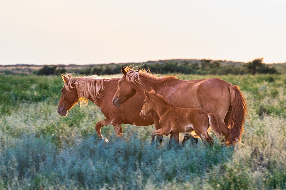 Photograph by VLADISLAV KIM