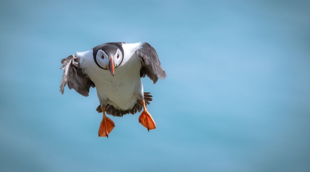 Photograph by Harsha Devalla