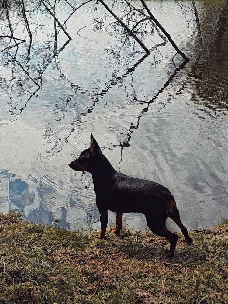 Photograph by Татьяна Небрат