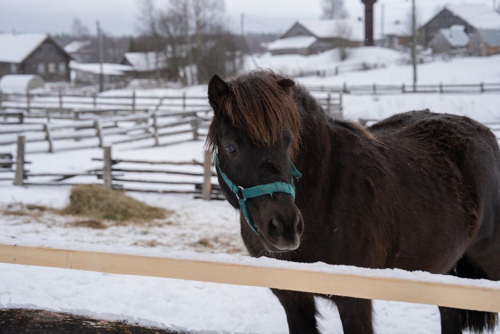 Photograph by Евгения Ковригина