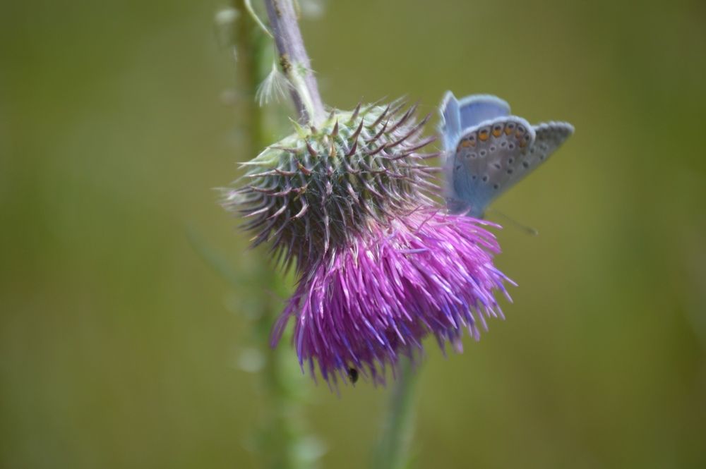 Photograph by Евгения Сапон