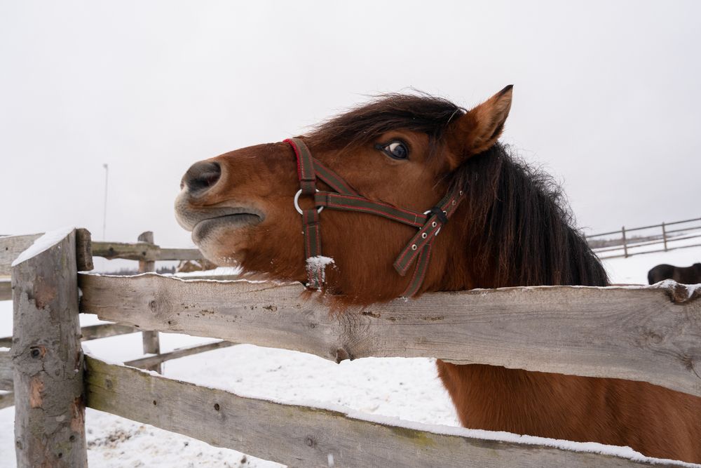Photograph by Евгения Ковригина