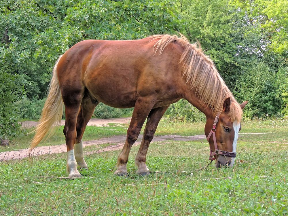 Photograph by Павел Кулинич