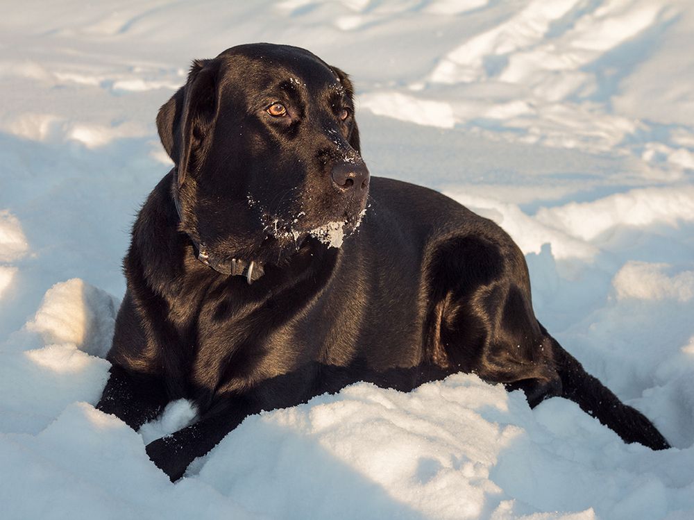 Фотография автора Борис Журавлёв