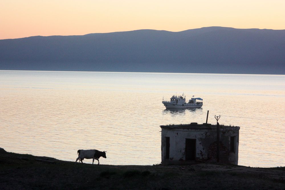 Photograph by Алексей Банных