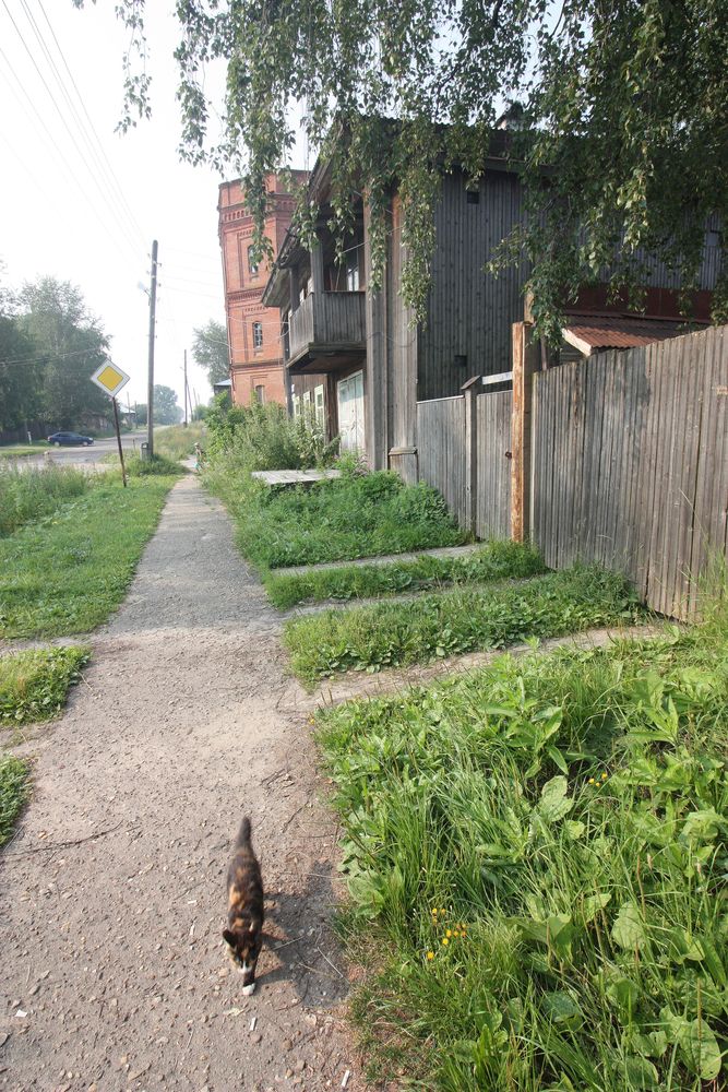 Photograph by Алексей Банных