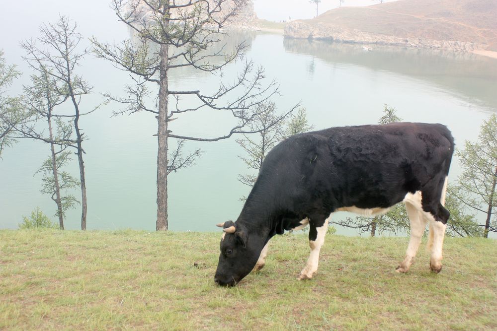 Photograph by Алексей Банных