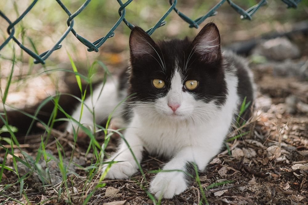 Photograph by Oxana Berezovskaya