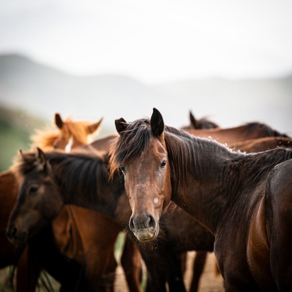 Photograph by VLADISLAV KIM