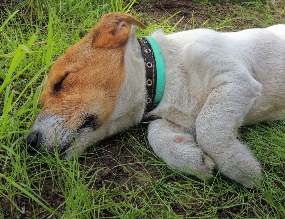 Photograph by Павел Кулинич