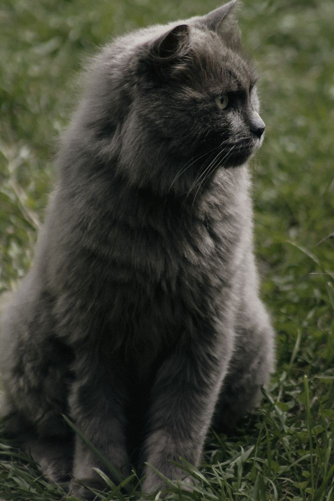 Photograph by Анастасия Псарёва